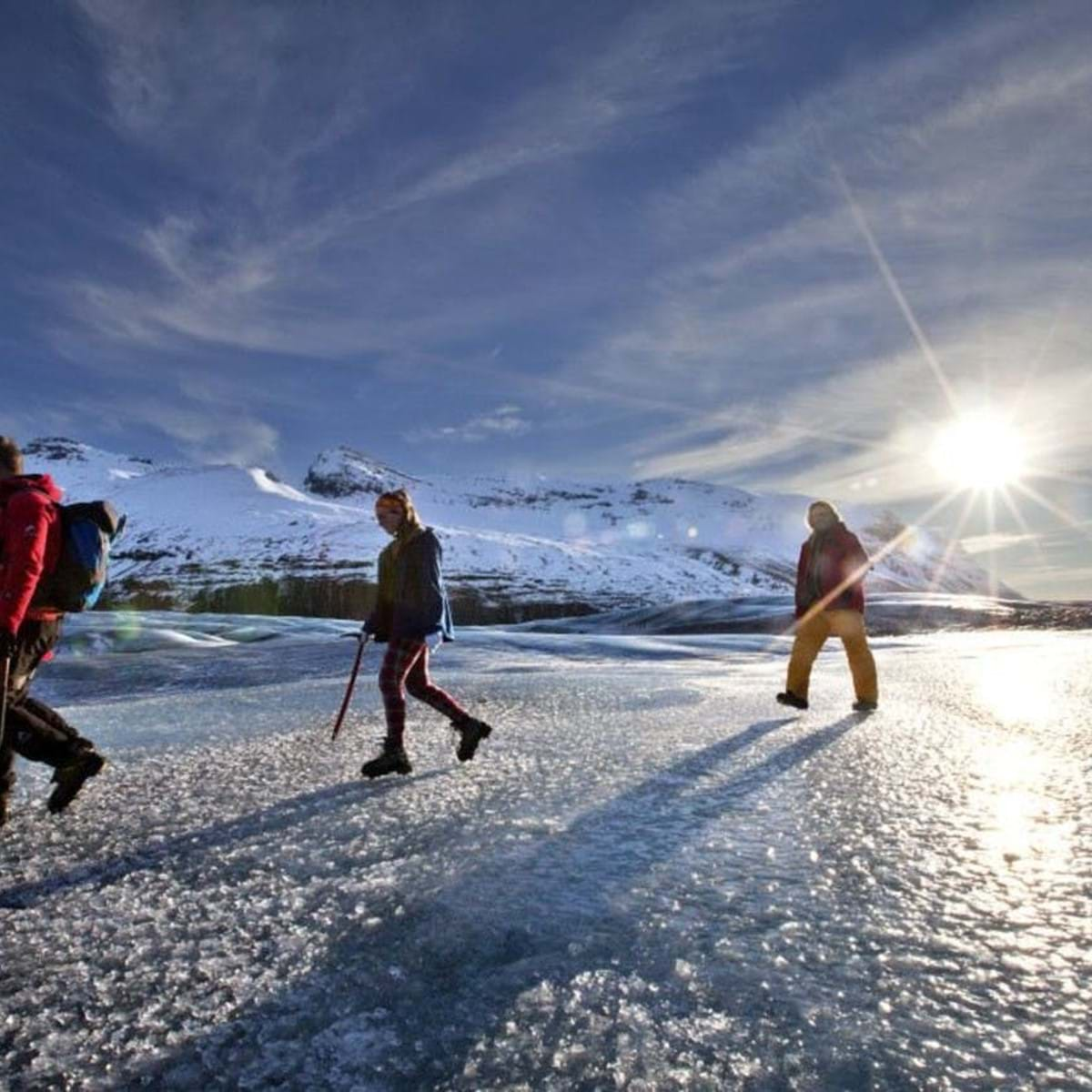 Включи зиму. Ski Expedition in the Winter Swamp. Summer and Winter activities.